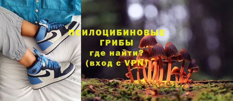 Галлюциногенные грибы Cubensis  Дятьково 